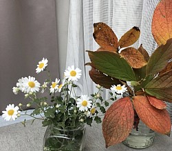 菊と紅葉(サンシュユ)